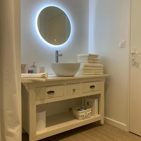 Apartment Scandinave Dans Domaine Historique D'exception Vernaison